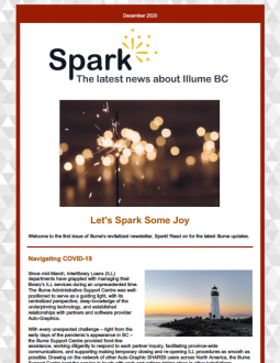 Preview of the Illume Spark Newsletter December 2020